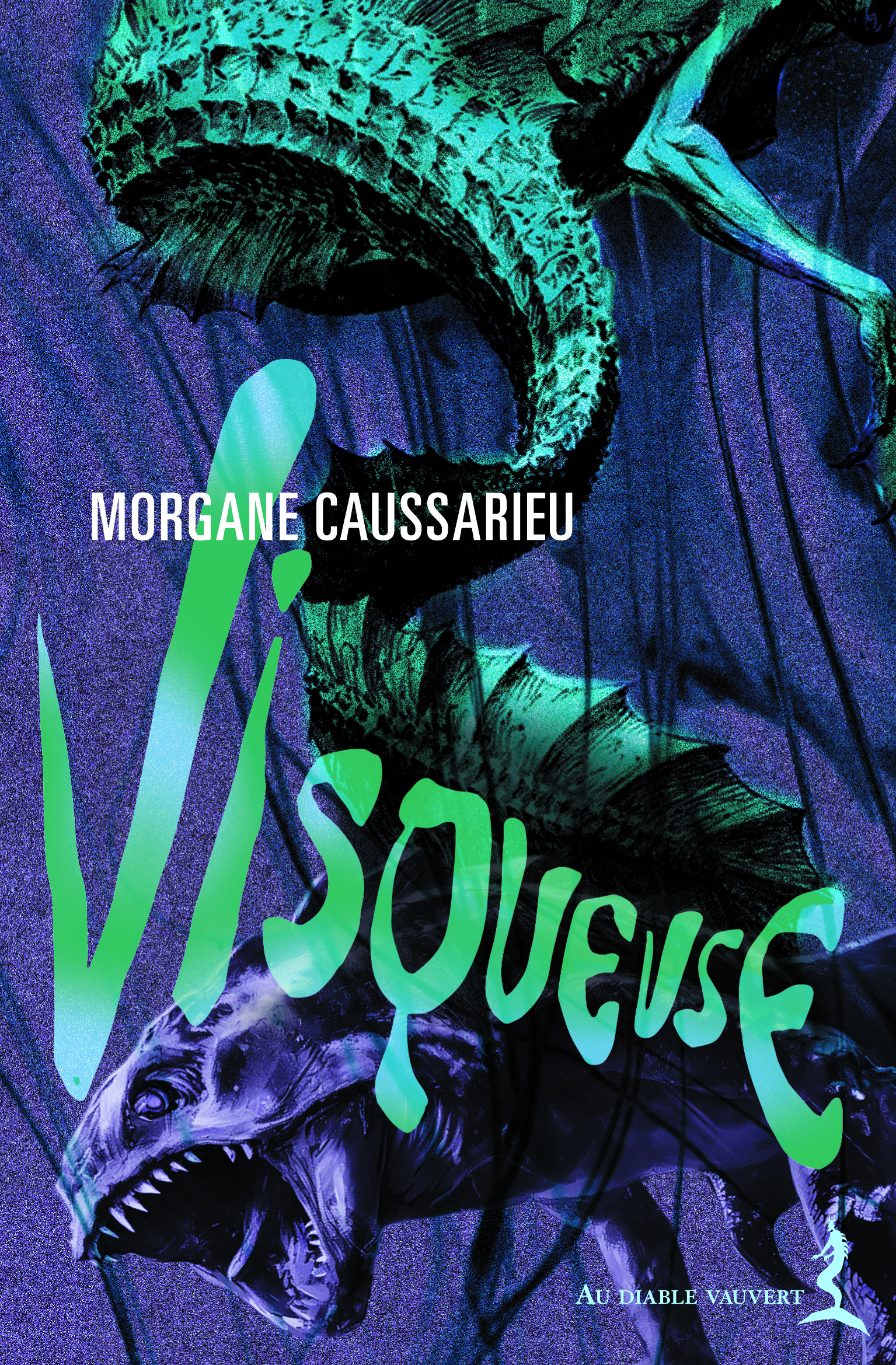 Couverture Visqueuse, Morgane Caussarieu
