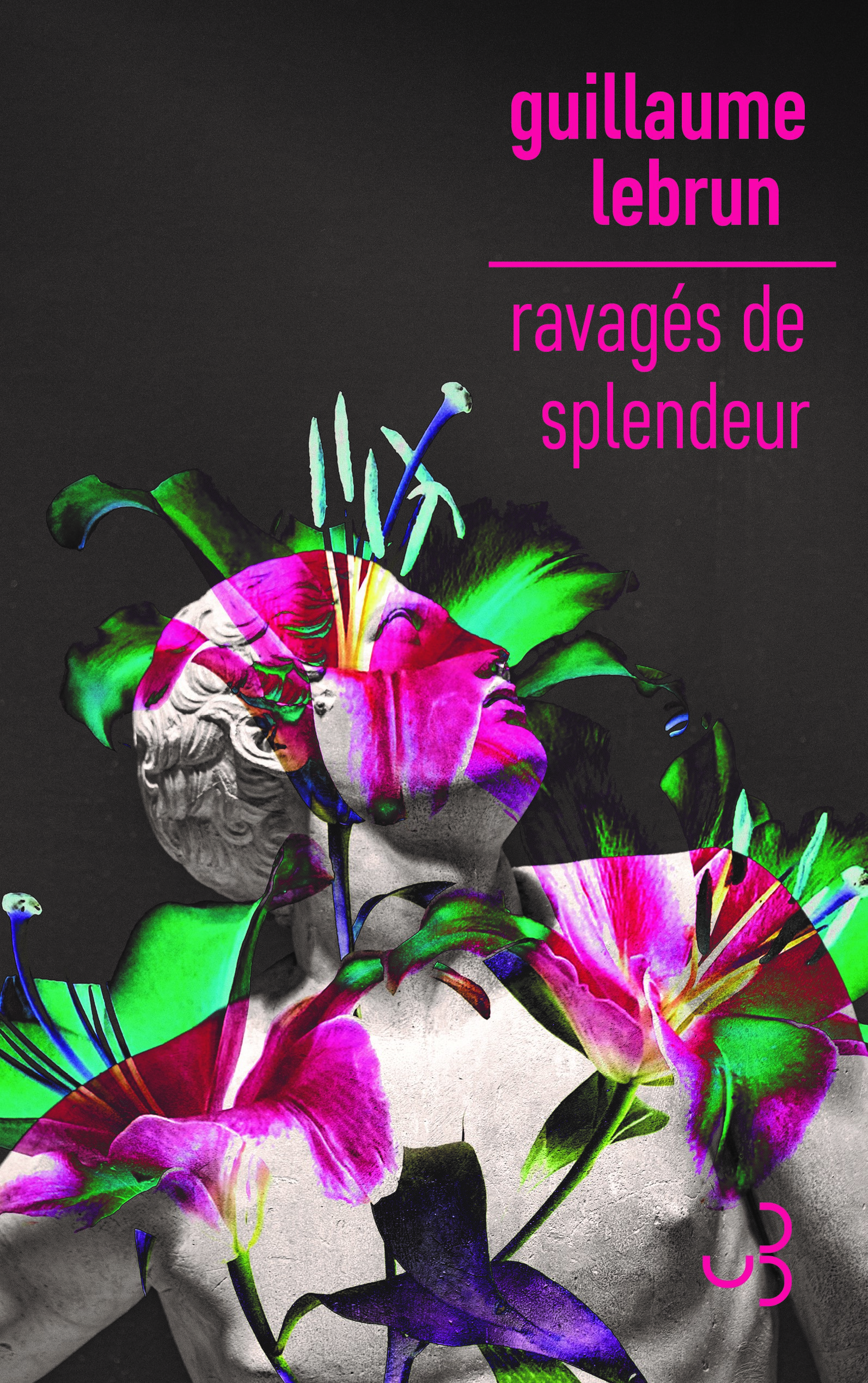 Couverture Ravagés de splendeur, Guillaume Lebrun